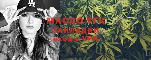 дмт Заводоуковск