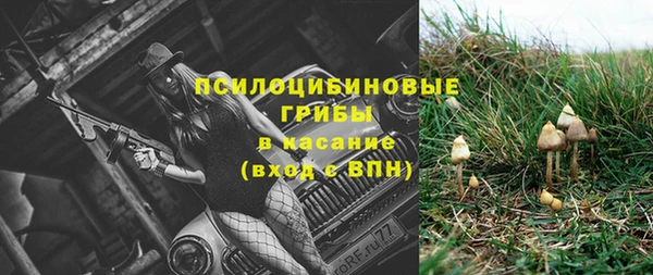альфа пвп Саяногорск