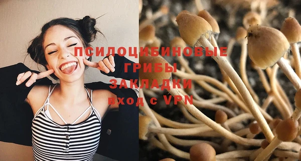 соль ск Заволжье