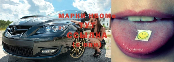 хмурый Сатка