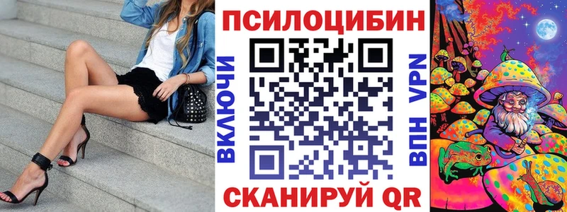 где продают Слободской Псилоцибиновые грибы Magic Shrooms